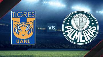 tigres_vs_palmeiras